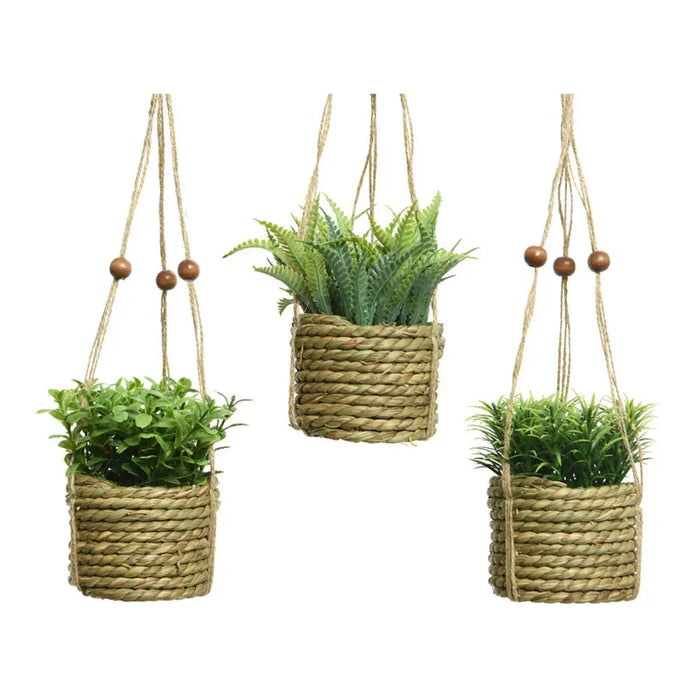 Decorative Plant Everlands 8 x 12 cm Pendant Rope Green PVC - Декорация и Осветление<<<Дом Градина<<<BigBuy&&&Други