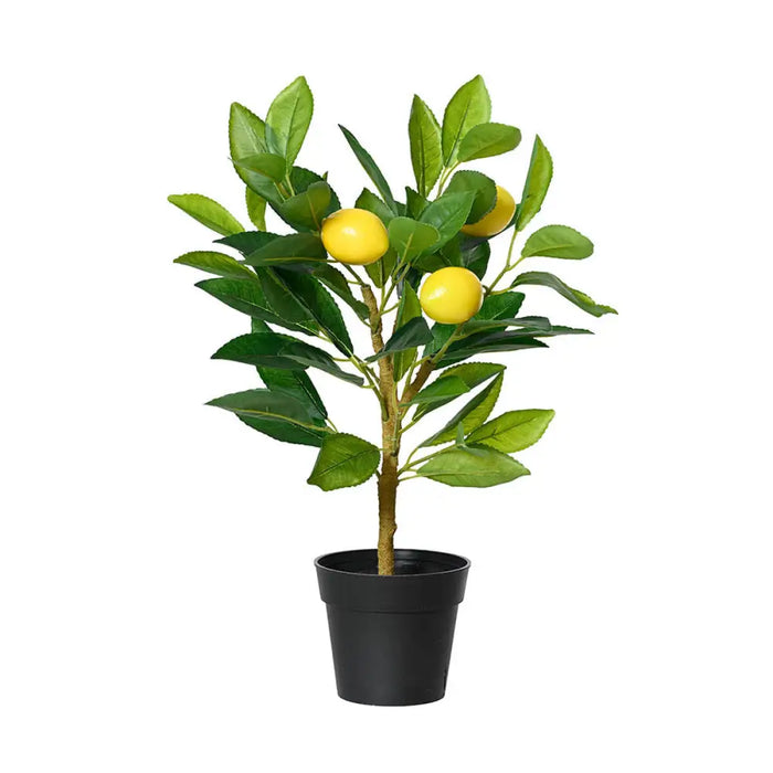 Decorative Plant Everlands Plastic Lemon tree 17 x 24 x 43 cm - Декорация и Осветление<<<Дом Градина<<<BigBuy&&&Други
