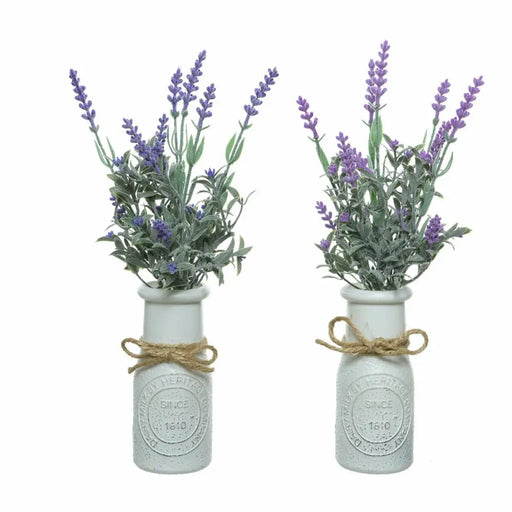 Decorative Plant Everlands Plant pot Lavendar (Ø 13 x 32 cm) - Декорация и Осветление<<<Дом Градина<<<BigBuy&&&Други