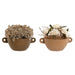Decorative Plant Home ESPRIT Flower 22 x 22 x 14 cm (2 Units) - Декорация и Осветление<<<Дом Градина<<<BigBuy&&&Други