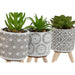 Decorative Plant Home ESPRIT Polyethylene Cement 6,5 x 6,5 x 11 cm (3 Units) - Декорация и Осветление<<<Дом