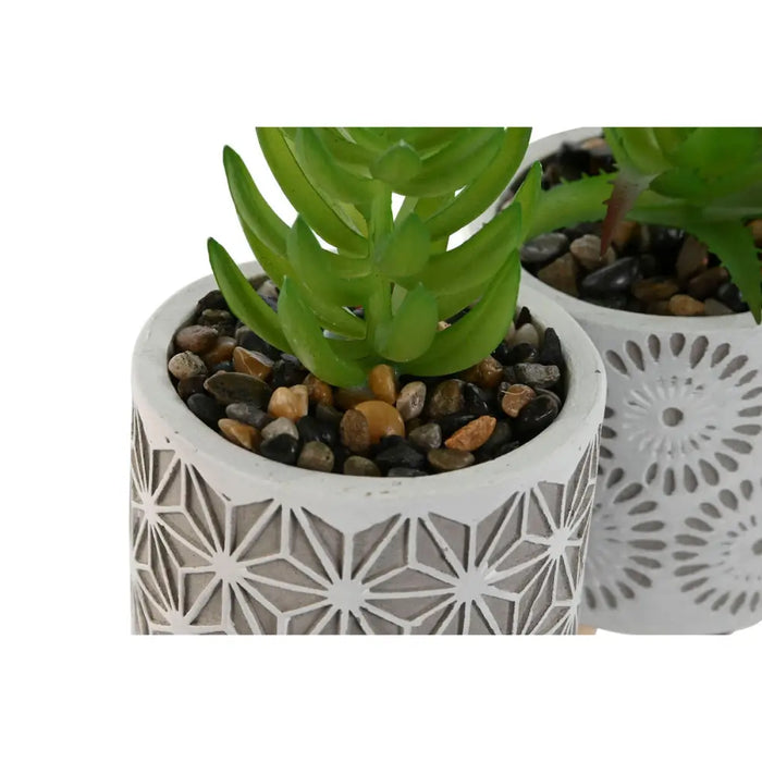 Decorative Plant Home ESPRIT Polyethylene Cement 6,5 x 6,5 x 11 cm (3 Units) - Декорация и Осветление<<<Дом