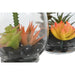 Decorative Plant Home ESPRIT PVC Crystal 10 x 10 x 15 cm (2 Units) - Декорация и Осветление<<<Дом