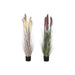 Decorative Plant Home ESPRIT PVC Polyethylene 35 x 35 x 120 cm (2 Units) - Декорация и Осветление<<<Дом