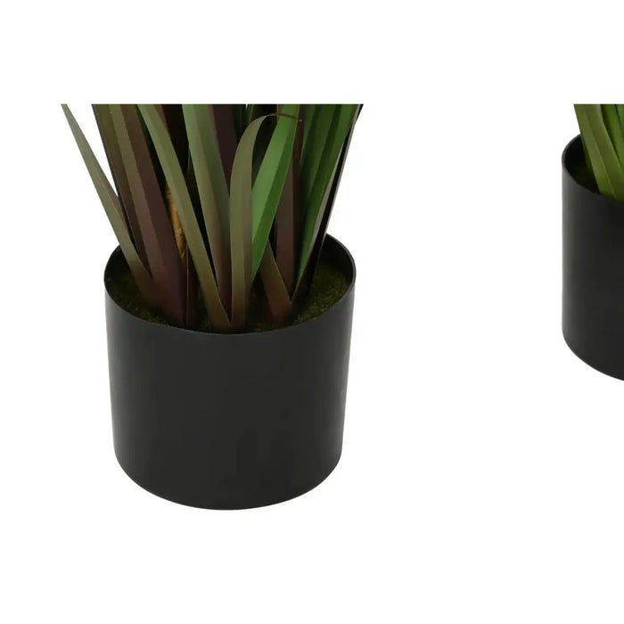 Decorative Plant Home ESPRIT PVC Polyethylene 35 x 35 x 120 cm (2 Units) - Декорация и Осветление<<<Дом
