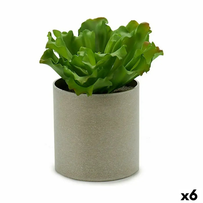 Decorative Plant Ibergarden 20 x 25 x 20 cm (6 Units) - Декорация и Осветление<<<Дом Градина<<<BigBuy&&&Други артикули