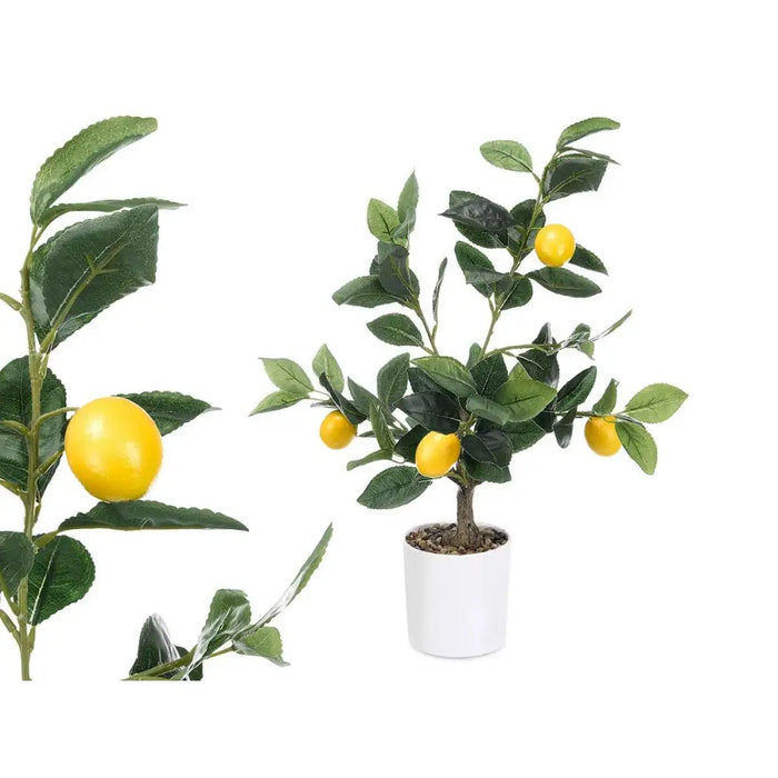 Decorative Plant Ibergarden Foam Polyethylene Melamin Lemon tree 40 x 58 x 38 cm (6 Units) - Декорация и