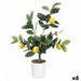 Decorative Plant Ibergarden Foam Polyethylene Melamin Lemon tree 40 x 58 x 38 cm (6 Units) - Декорация и