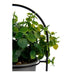 Decorative Plant Ibergarden Metal Plastic 21 x 30 x 21 cm With support Grey - Декорация и Осветление<<<Дом