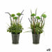 Decorative Plant Ibergarden Metal Plastic Lavendar 13 x 40 x 13 cm (12 Units) - Декорация и Осветление<<<Дом