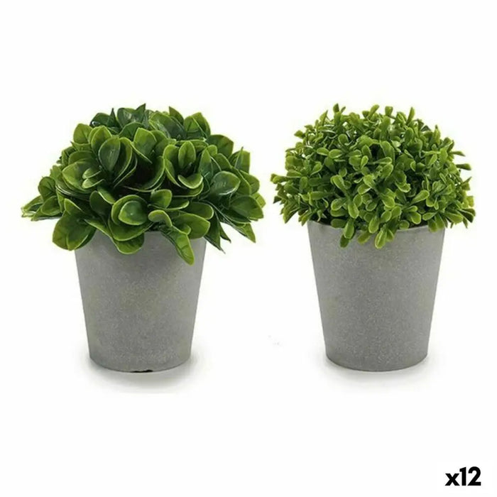 Decorative Plant Ibergarden Plastic 13 x 17 x 13 cm 14 x 16 x 14 cm (12 Units) - Декорация и Осветление<<<Дом