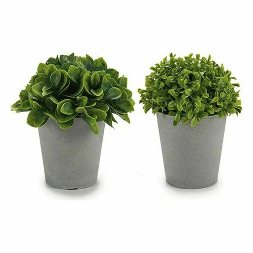 Decorative Plant Ibergarden Plastic 13 x 17 x 13 cm 14 x 16 x 14 cm (12 Units) - Декорация и Осветление<<<Дом