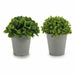 Decorative Plant Ibergarden Plastic 13 x 17 x 13 cm 14 x 16 x 14 cm (12 Units) - Декорация и Осветление<<<Дом