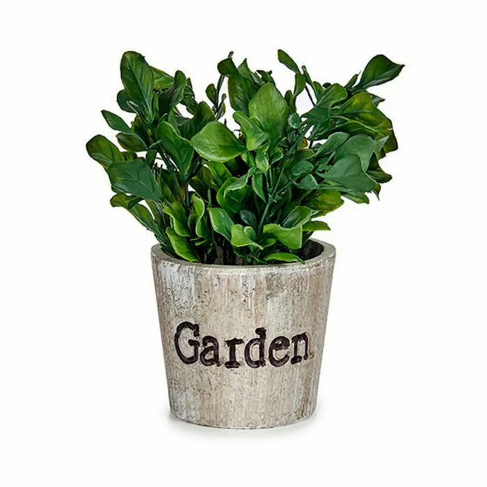 Decorative Plant Ibergarden Plastic 16 x 22 x 16 cm (12 Units) - Декорация и Осветление<<<Дом Градина<<<BigBuy&&&Други