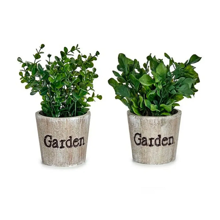 Decorative Plant Ibergarden Plastic 16 x 22 x 16 cm (12 Units) - Декорация и Осветление<<<Дом Градина<<<BigBuy&&&Други