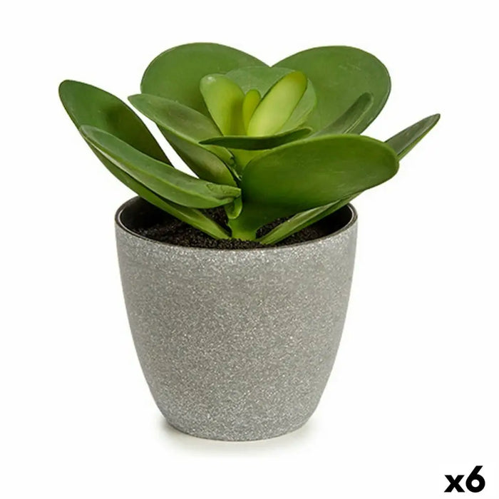 Decorative Plant Ibergarden Plastic 18 x 18,5 x 18 cm (6 Units) - Декорация и Осветление<<<Дом Градина<<<BigBuy&&&Други
