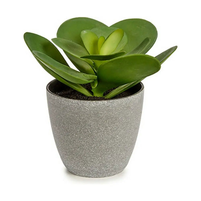 Decorative Plant Ibergarden Plastic 18 x 18,5 x 18 cm (6 Units) - Декорация и Осветление<<<Дом Градина<<<BigBuy&&&Други