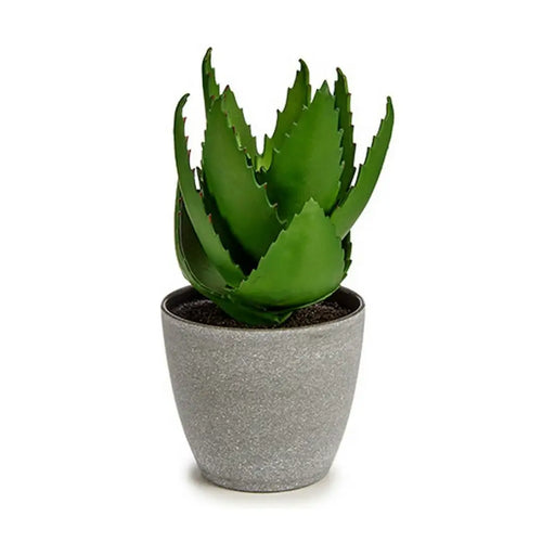 Decorative Plant Ibergarden Plastic Aloe Vera 15 x 23,5 x 15 cm (6 Units) - Декорация и Осветление<<<Дом
