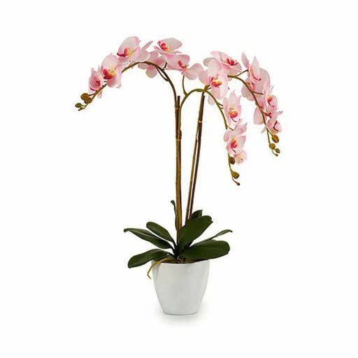 Decorative Plant Ibergarden Plastic Orchid 40 x 77 x 35 cm 40 x 78 x 35 cm 40 x 78 x 44 cm (2 Units) - Декорация и