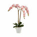 Decorative Plant Ibergarden Plastic Orchid 40 x 77 x 35 cm 40 x 78 x 35 cm 40 x 78 x 44 cm (2 Units) - Декорация и