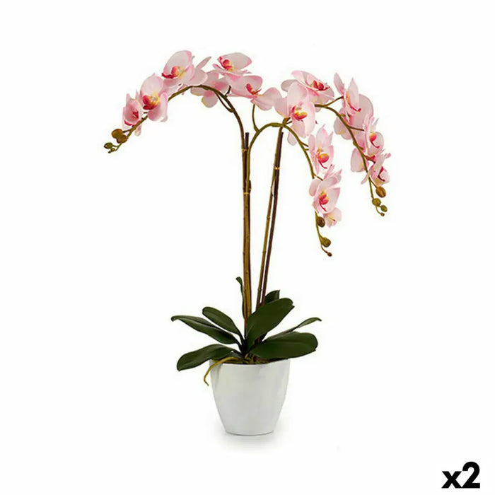 Decorative Plant Ibergarden Plastic Orchid 40 x 77 x 35 cm 40 x 78 x 35 cm 40 x 78 x 44 cm (2 Units) - Декорация и