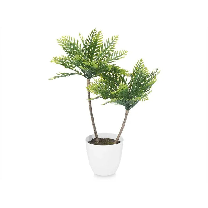 Decorative Plant Ibergarden Plastic Palm tree 36 x 55,5 x 24 cm 15 x 60 x 15 cm (6 Units) - Декорация и