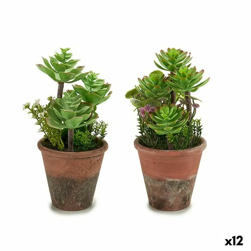 Decorative Plant Ibergarden Plastic Succulent 16 x 23 x 16 cm (12 Units) - Декорация и Осветление<<<Дом