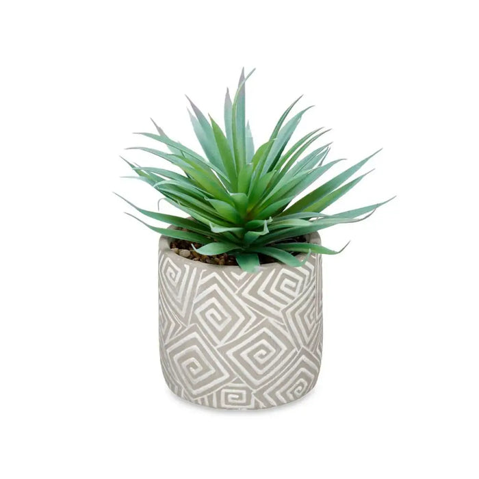Decorative Plant Ibergarden Wood Polyethylene Plastic Cement Succulent 17 x 21 x 17 cm (8 Units) - Декорация и