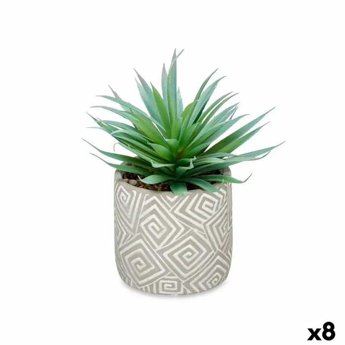 Decorative Plant Ibergarden Wood Polyethylene Plastic Cement Succulent 17 x 21 x 17 cm (8 Units) - Декорация и