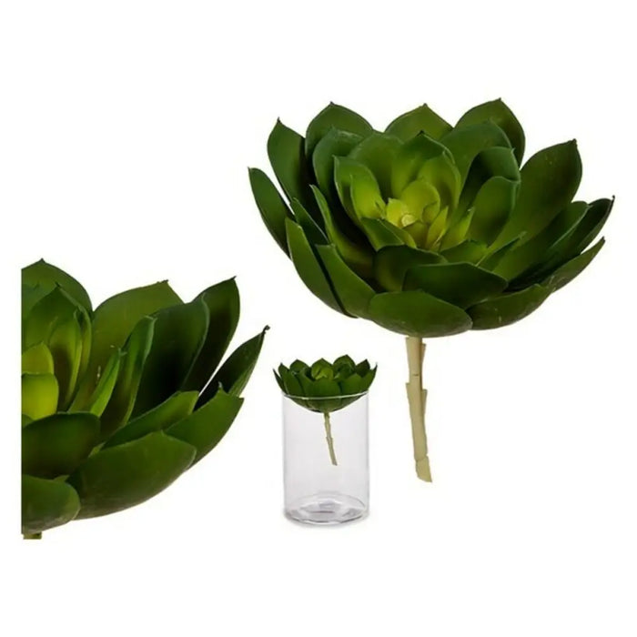 Decorative Plant Ibergarden YD180138 Plastic - Декорация и Осветление<<<Дом Градина<<<BigBuy&&&Други артикули за