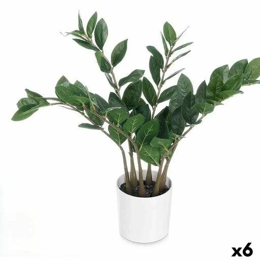Decorative Plant Ibergarden ZAMIOCULCA Polyethylene Melamin 53 x 55 x 53 cm (6 Units) - Декорация и Осветление<<<Дом