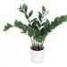 Decorative Plant Ibergarden ZAMIOCULCA Polyethylene Melamin 53 x 55 x 53 cm (6 Units) - Декорация и Осветление<<<Дом