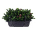 DECORATIVE PLANT IN A BOX ROSSIMA PINE CONE - Изкуствено озеленяване<<<Мрежи и огради<<<Градина<<<Praktiker