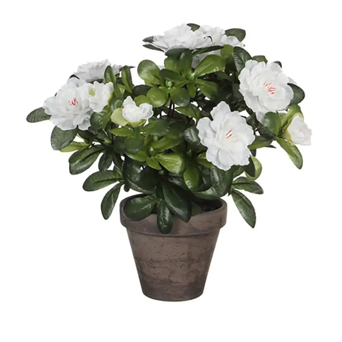 Decorative Plant Mica Decorations 11,5 x 27 x 20 cm - Декорация и Осветление<<<Дом Градина<<<BigBuy&&&Други артикули за