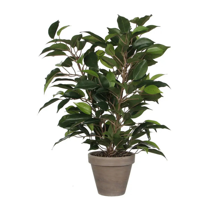Decorative Plant Mica Decorations 40 x 30 cm Ceramic Green PVC Fig Tree - Декорация и Осветление<<<Дом