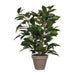 Decorative Plant Mica Decorations 40 x 30 cm Ceramic Green PVC Fig Tree - Декорация и Осветление<<<Дом