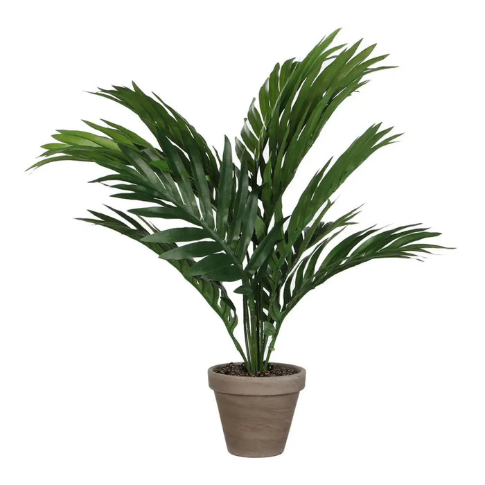 Decorative Plant Mica Decorations 45 x 60 cm Ceramic PVC Palm tree - Декорация и Осветление<<<Дом