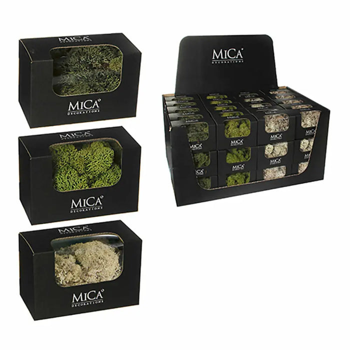 Decorative Plant Mica Decorations 50 g Moss - Декорация и Осветление<<<Дом Градина<<<BigBuy&&&Други артикули за