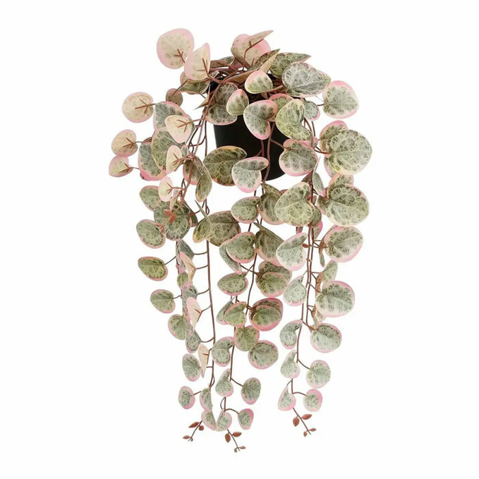 Decorative Plant Mica Decorations Ceropegia Woodii 10 x 46 x 12 cm Artificial For hanging - Декорация и
