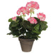Decorative Plant Mica Decorations PVC Geranium (11,5 x 33 cm) - Декорация и Осветление<<<Дом Градина<<<BigBuy&&&Други