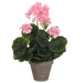 Decorative Plant Mica Decorations PVC Geranium (11,5 x 33 cm) - Декорация и Осветление<<<Дом Градина<<<BigBuy&&&Други