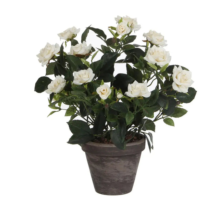 Decorative Plant Mica Decorations Rosal Ceramic PVC - Декорация и Осветление<<<Дом Градина<<<BigBuy&&&Други артикули за