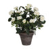 Decorative Plant Mica Decorations Rosal Ceramic PVC - Декорация и Осветление<<<Дом Градина<<<BigBuy&&&Други артикули за