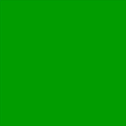 EXTRA ALKYD PAINT 650 ML RAL 6018 DEKORATOR