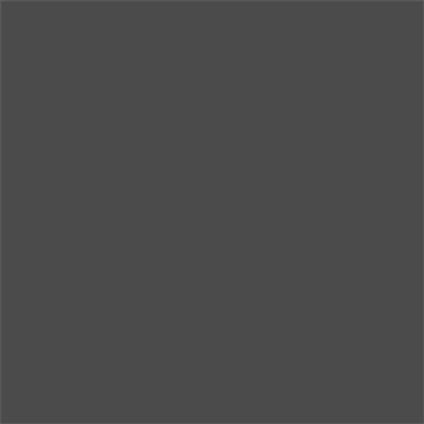 EXTRA ALKYD PAINT 650 ML RAL 7011 DEKORATOR