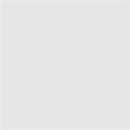 EXTRA ALKYD PAINT 650 ML RAL 9016 DEKORATOR