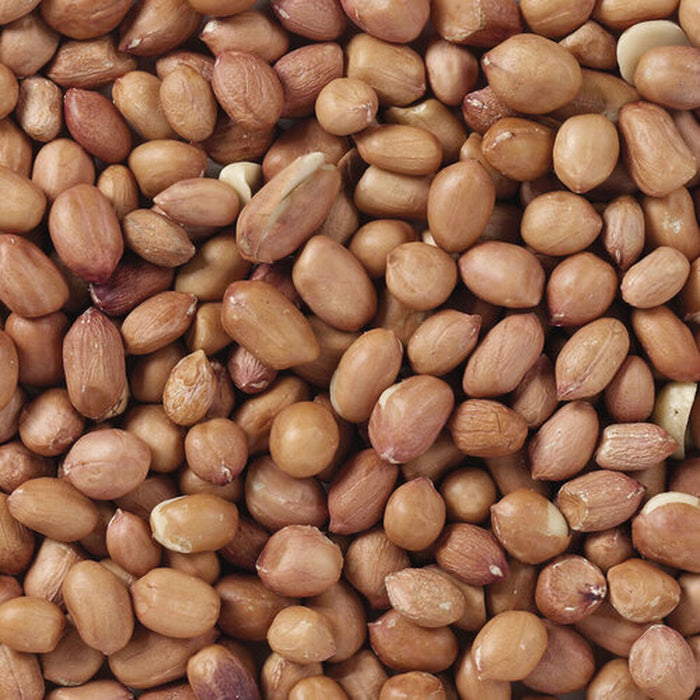 Bird food Deli Nature Premium 3 Kg