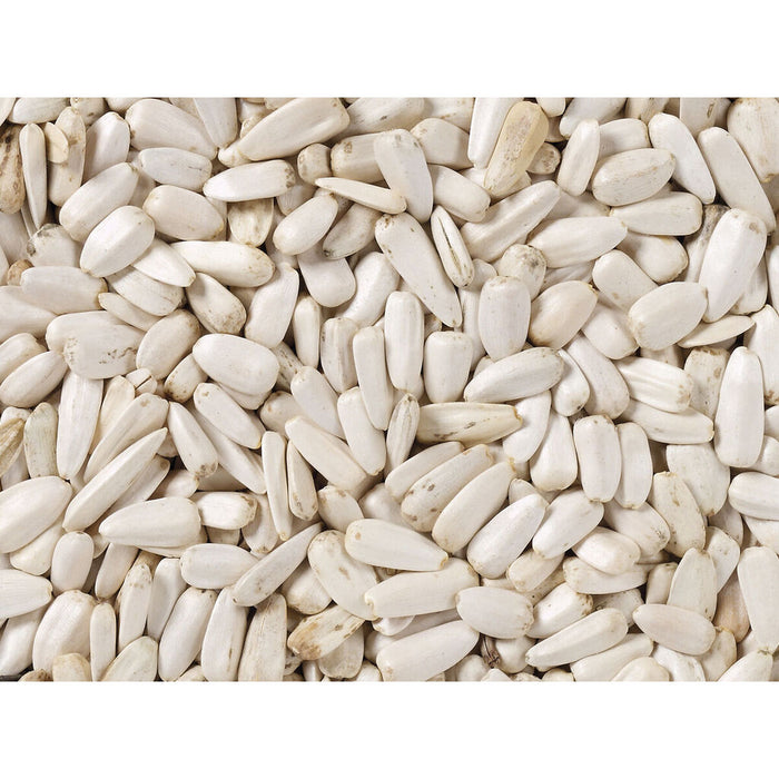 Bird food Deli Nature 2 Kg Sunflower Seeds