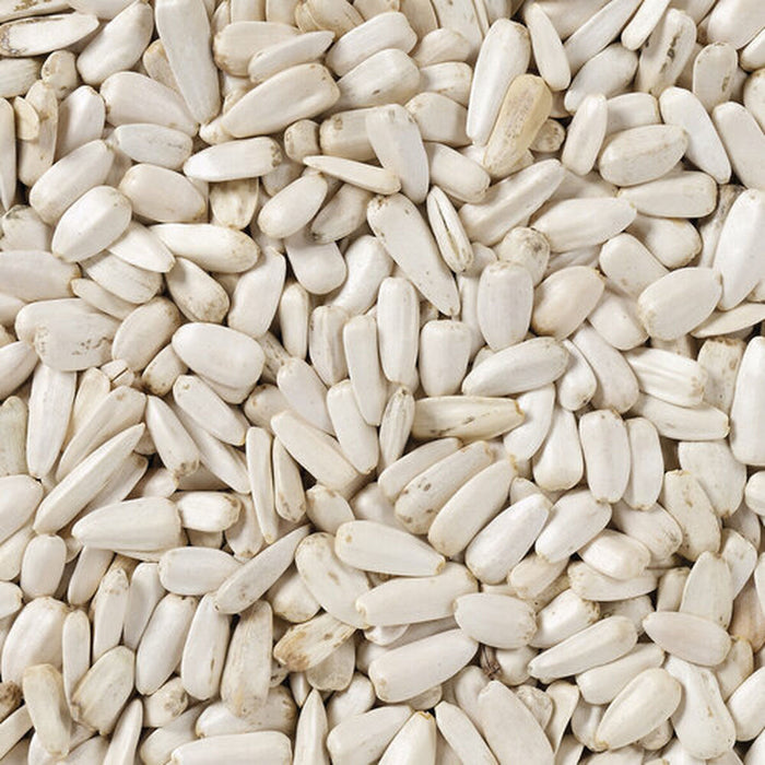 Bird food Deli Nature 2 Kg Sunflower Seeds