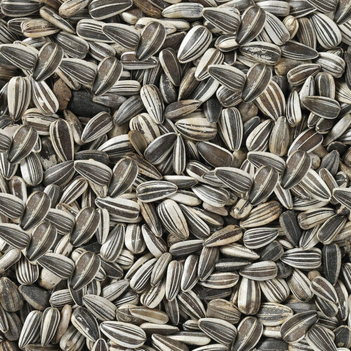 Bird food Deli Nature Premium 2,5 kg